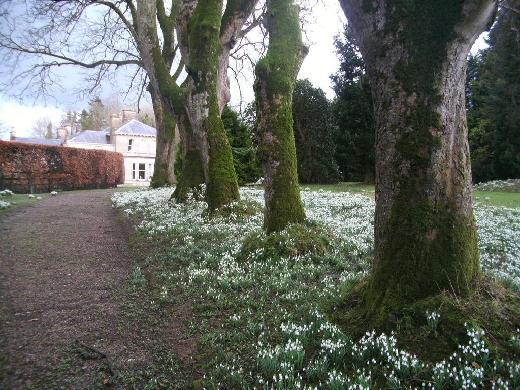 Gardenvale Manor House B&B Stranocum Exterior foto